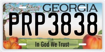 GA license plate PRP3838