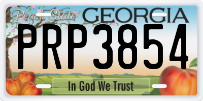 GA license plate PRP3854