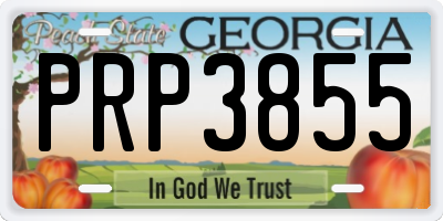 GA license plate PRP3855