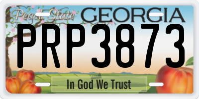 GA license plate PRP3873