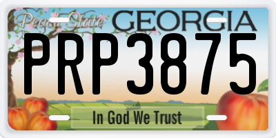 GA license plate PRP3875