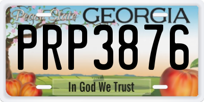 GA license plate PRP3876