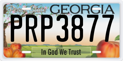 GA license plate PRP3877