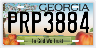 GA license plate PRP3884