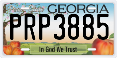 GA license plate PRP3885