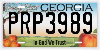 GA license plate PRP3989
