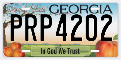 GA license plate PRP4202