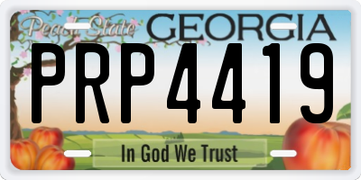 GA license plate PRP4419