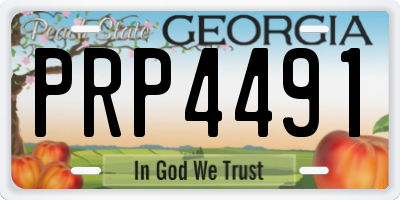 GA license plate PRP4491