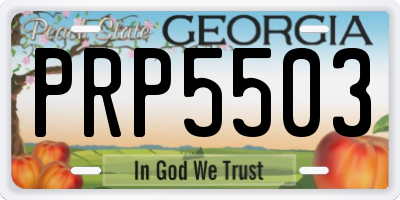 GA license plate PRP5503