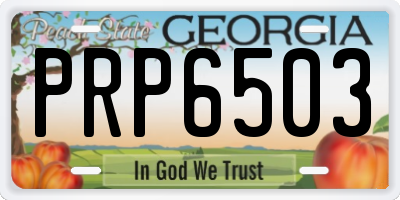 GA license plate PRP6503