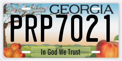 GA license plate PRP7021