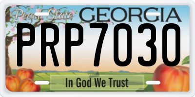 GA license plate PRP7030