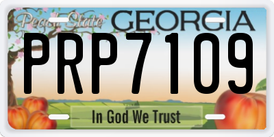GA license plate PRP7109