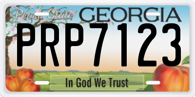 GA license plate PRP7123