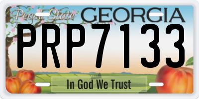 GA license plate PRP7133