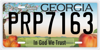 GA license plate PRP7163