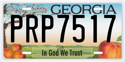 GA license plate PRP7517