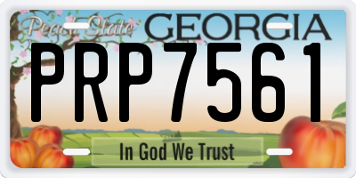 GA license plate PRP7561