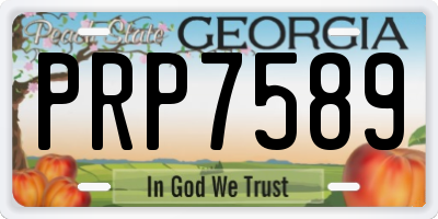 GA license plate PRP7589