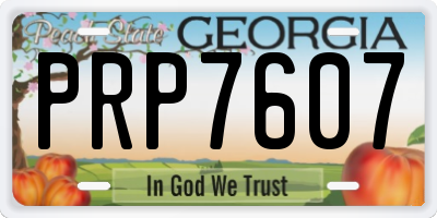 GA license plate PRP7607