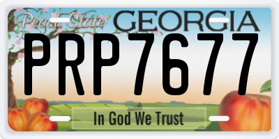 GA license plate PRP7677