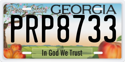GA license plate PRP8733