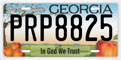 GA license plate PRP8825
