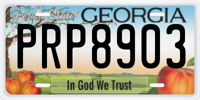 GA license plate PRP8903