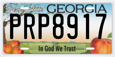 GA license plate PRP8917