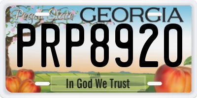 GA license plate PRP8920