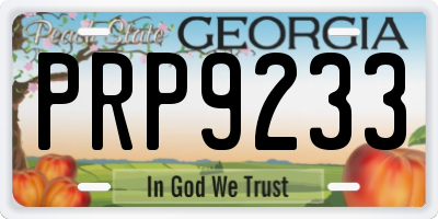GA license plate PRP9233