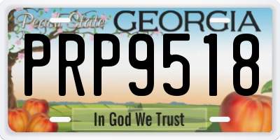 GA license plate PRP9518