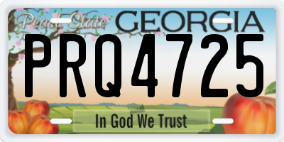 GA license plate PRQ4725