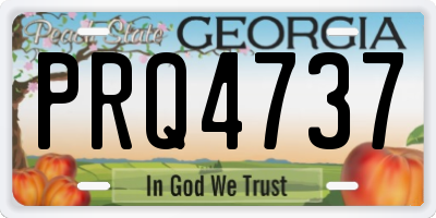 GA license plate PRQ4737