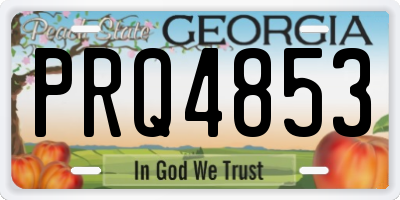 GA license plate PRQ4853