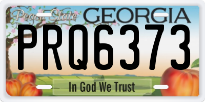 GA license plate PRQ6373