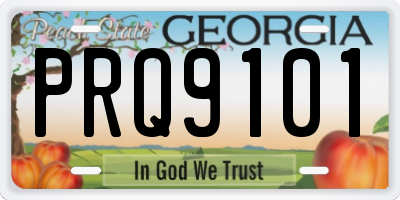 GA license plate PRQ9101