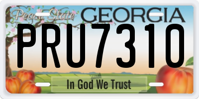 GA license plate PRU7310