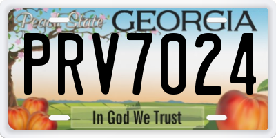 GA license plate PRV7024