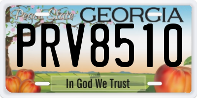 GA license plate PRV8510