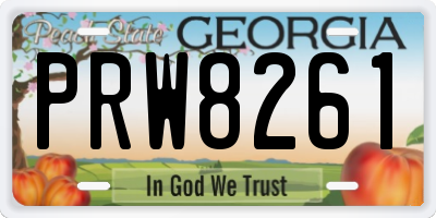 GA license plate PRW8261