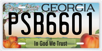 GA license plate PSB6601