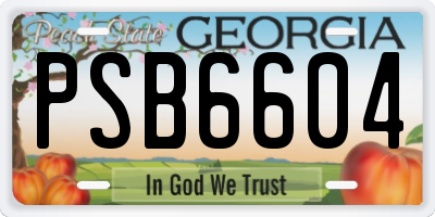 GA license plate PSB6604