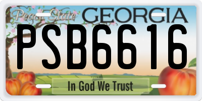 GA license plate PSB6616