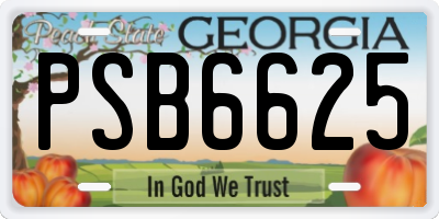 GA license plate PSB6625