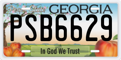 GA license plate PSB6629