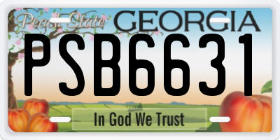 GA license plate PSB6631