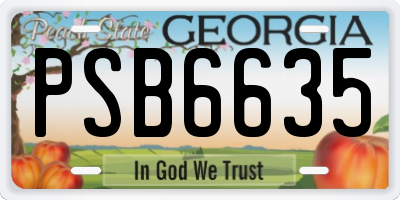 GA license plate PSB6635
