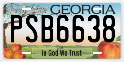 GA license plate PSB6638